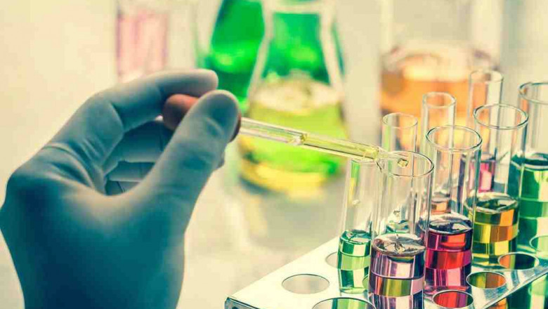 Vietnam Environmental Testing Market Share, Size, Trends, Growth and Forecast