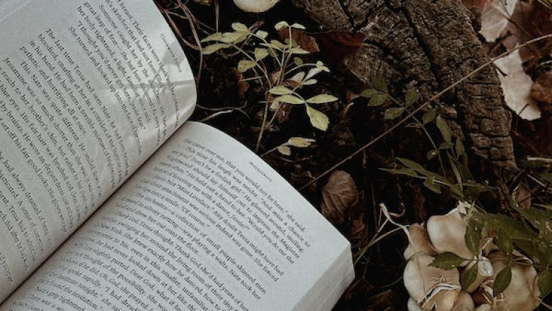 Editor-Author Collaboration: Maximizing the Editing Process