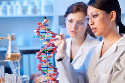 Revolutionizing Biomedical Research: Bioassay Services