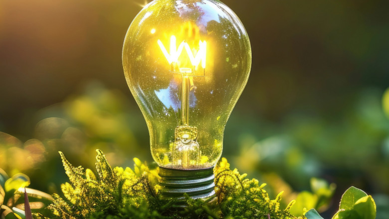 Can New Regulations Solve Greenwashing Concerns in Sustainable Finance?