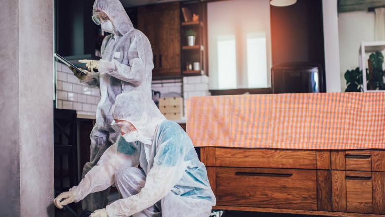 How Weather Changes Drive Rodent Infestations in Canadian Homes